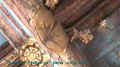 This appears to be a thistle or plant - any help here would be appreciated - email us!