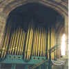The Organ Pipes
